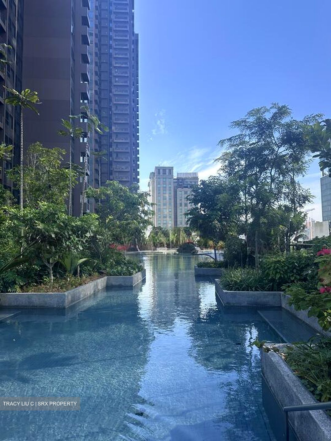 Midtown Modern (D7), Apartment #497362081